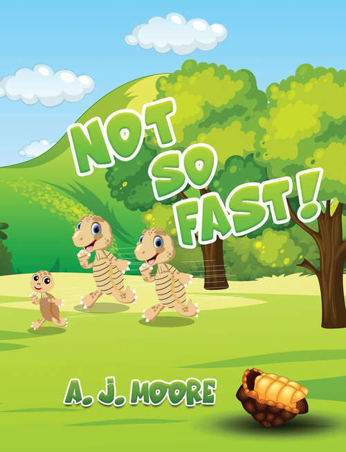 Book cover of Not So Fast!