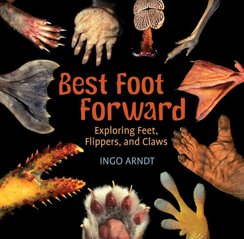 Book cover of Best Foot Forward: Exploring Feet, Flippers, and Claws