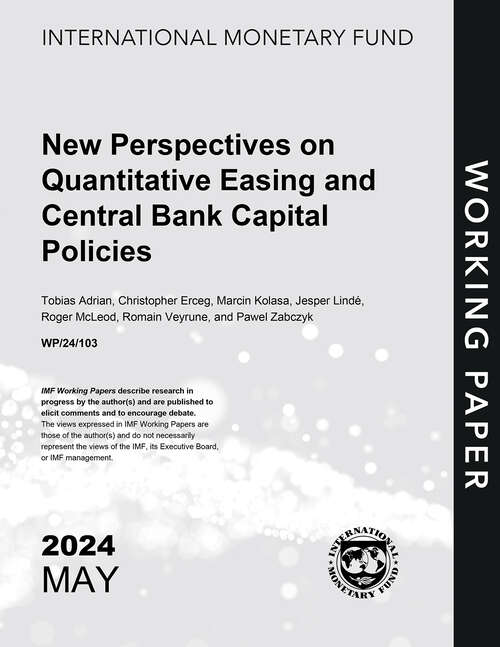 Book cover of New Perspectives on Quantitative Easing and Central Bank Capital Policies