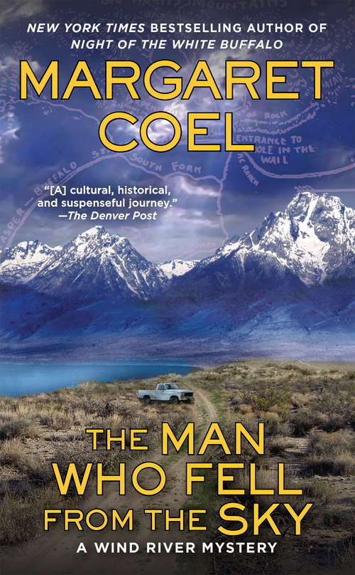 Book cover of The Man Who Fell from the Sky