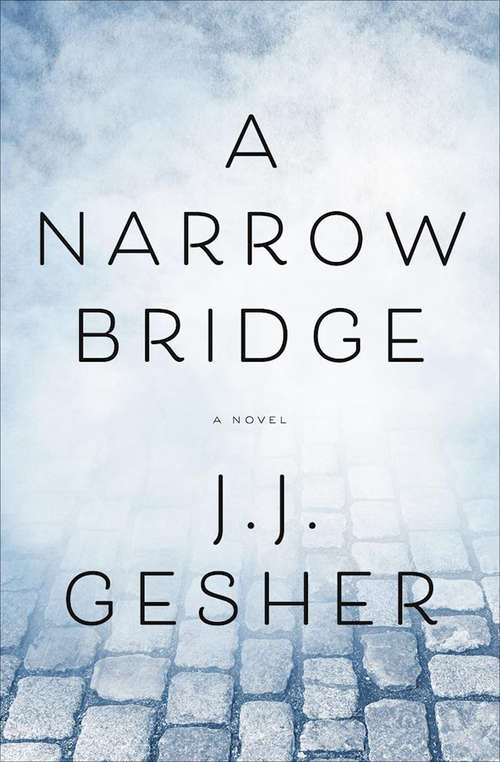 Book cover of A Narrow Bridge: A Novel