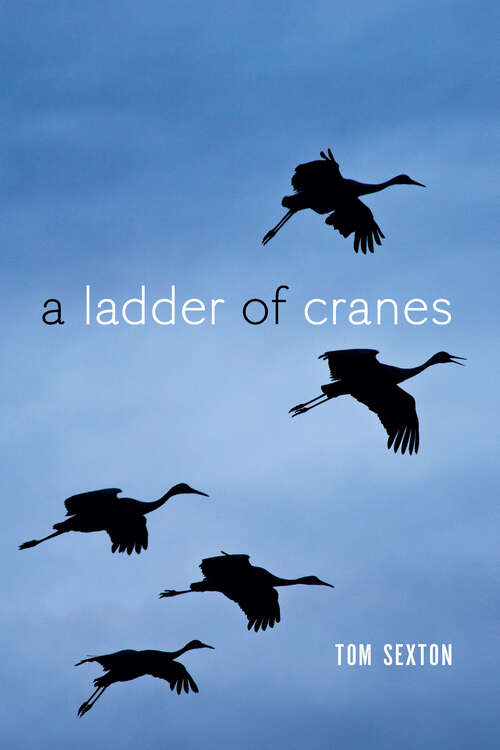 Book cover of A Ladder of Cranes (The Alaska Literary Series)