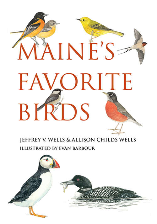 Book cover of Maine's Favorite Birds