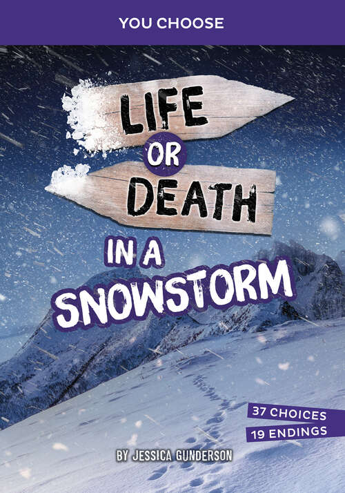 Book cover of Life or Death in a Snowstorm