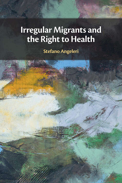 Book cover of Irregular Migrants and the Right to Health