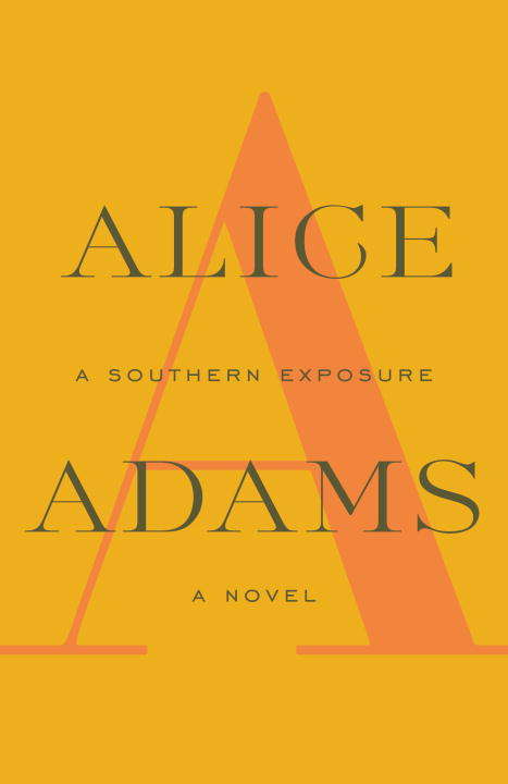 Book cover of A Southern Exposure