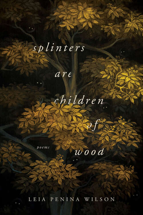 Book cover of Splinters Are Children of Wood: Poems (Ernest Sandeen Prize In Poetry Ser.)