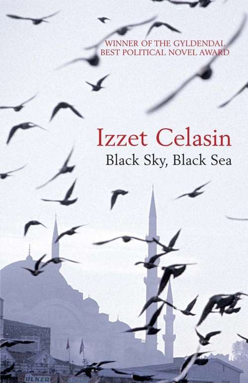Book cover of Black Sky, Black Sea
