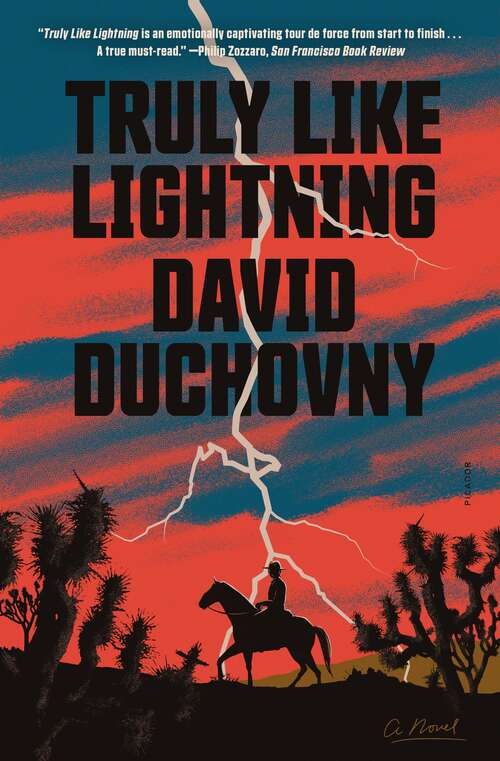 Book cover of Truly Like Lightning: A Novel