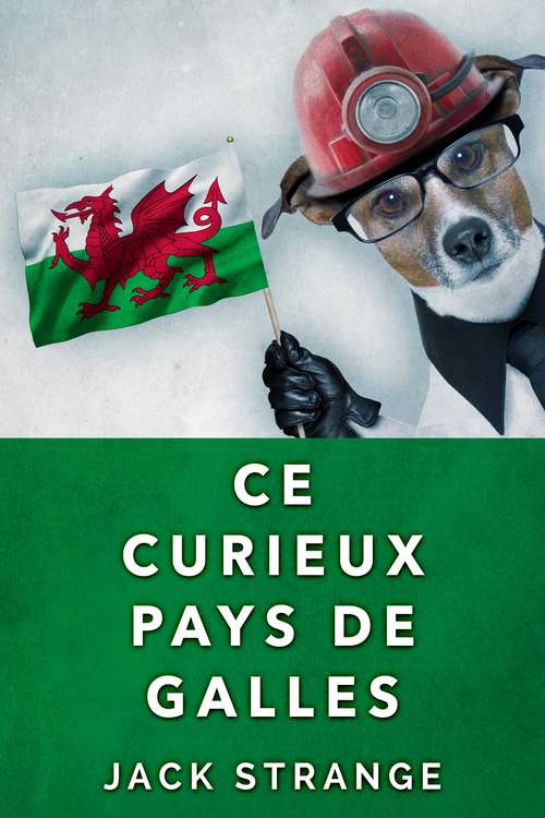 Book cover of Ce Curieux Pays De Galles