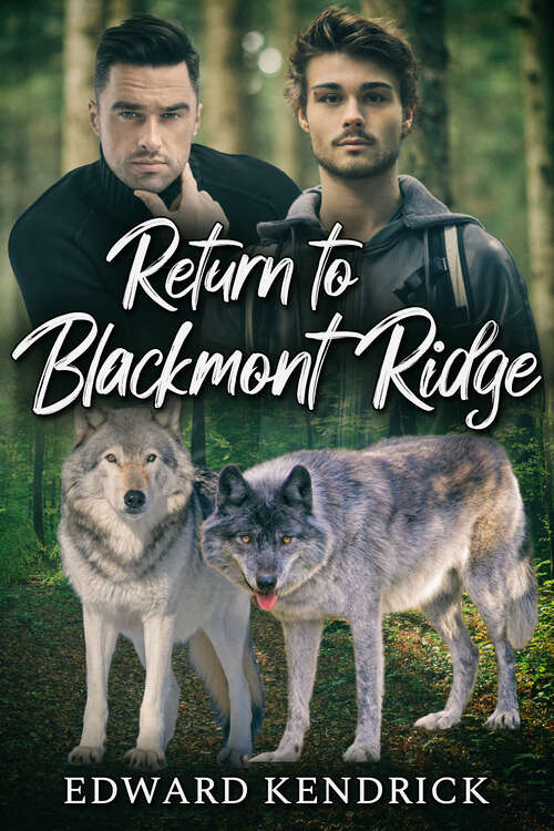 Book cover of Return to Blackmont Ridge