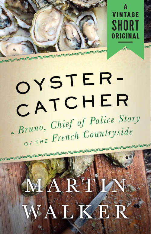 Book cover of Oystercatcher