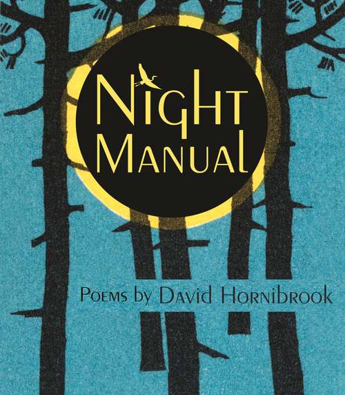 Book cover of Night Manual (Made in Michigan Writers Series)