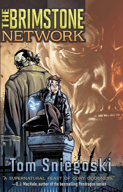 Book cover of The Brimstone Network (The Brimstone Network #1)