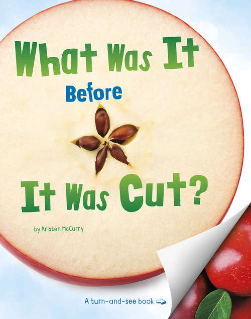 Book cover of What Was It Before It Was Cut? (What Was It?)