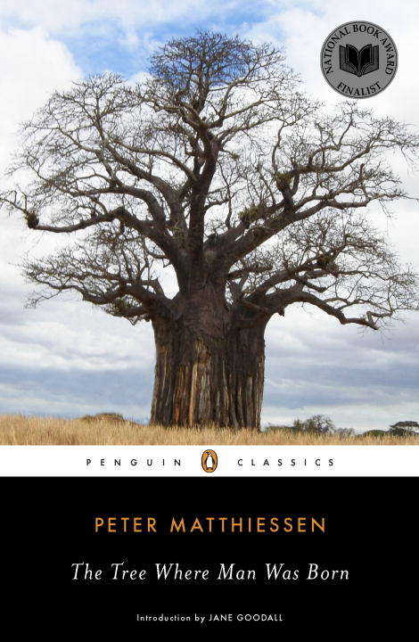 Book cover of The Tree Where Man Was Born (Picador Bks.: Vol. 1)