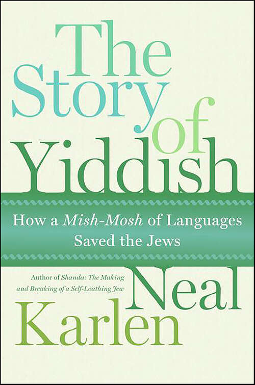 Book cover of The Story of Yiddish: How a Mish-Mosh of Languages Saved the Jews