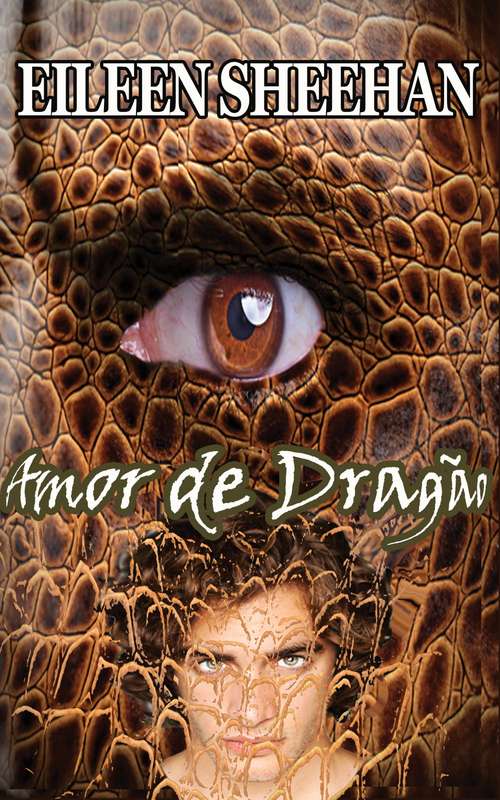 Book cover of Amor de Dragão
