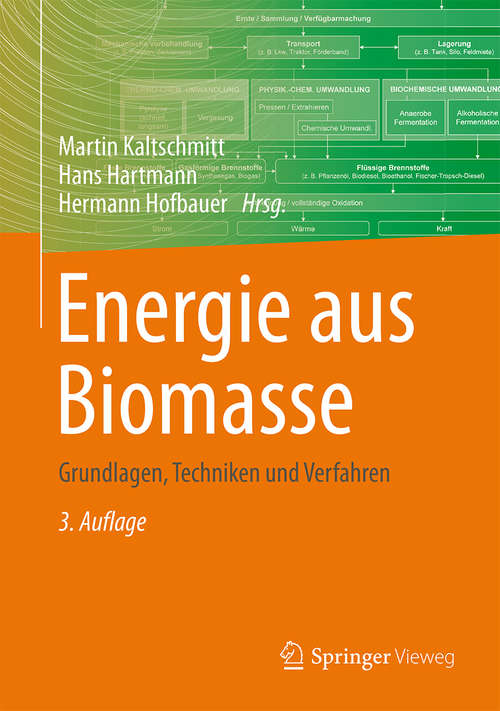 Book cover of Energie aus Biomasse