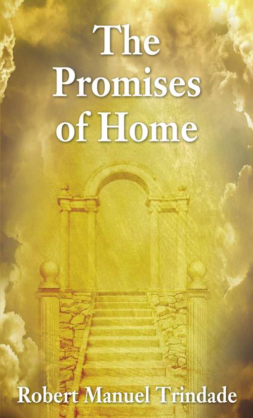 Book cover of The Promises of Home