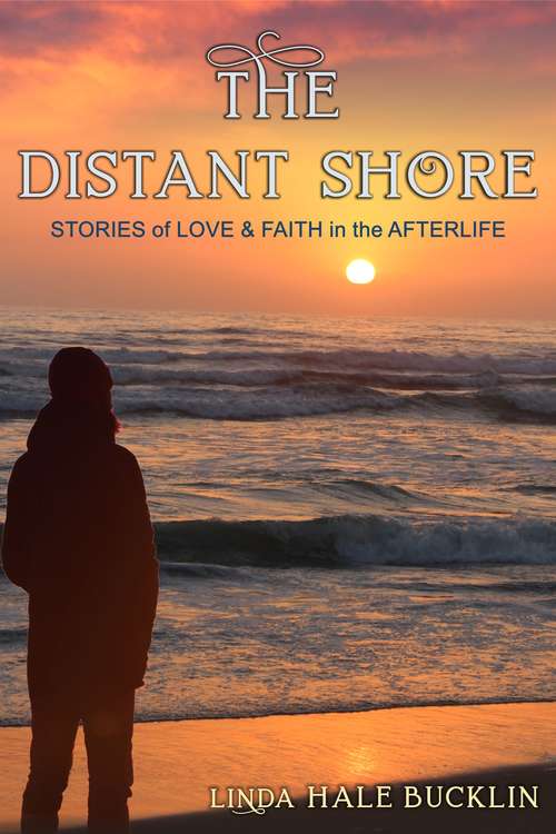 Book cover of The Distant Shore: Stories of Love and Faith in the Afterlife