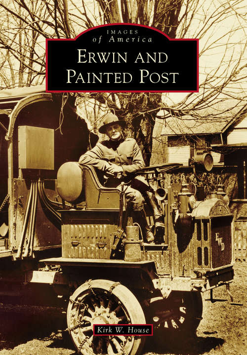 Book cover of Erwin and Painted Post
