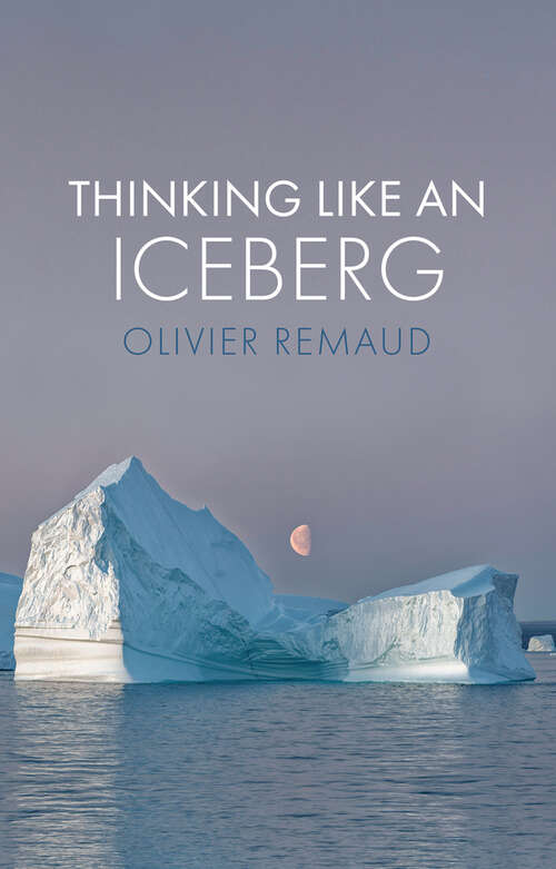 Book cover of Thinking Like an Iceberg