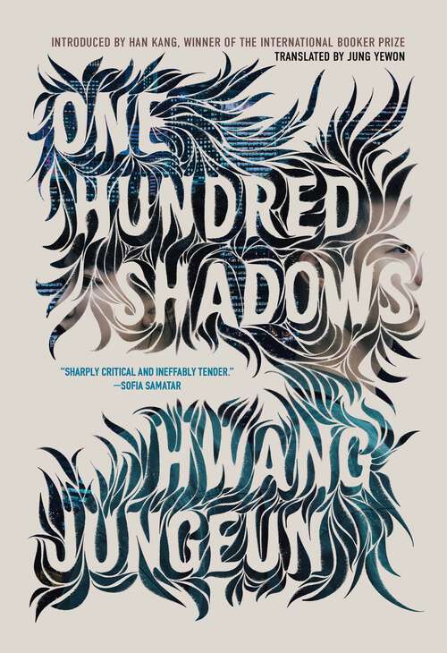 Book cover of One Hundred Shadows