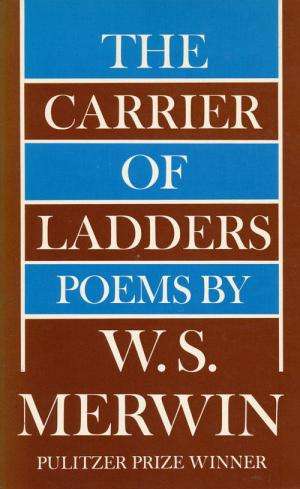 Book cover of The Carrier of Ladders