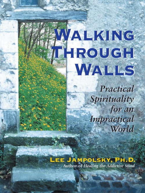 Book cover of Walking Through Walls