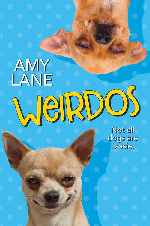 Book cover of Weirdos