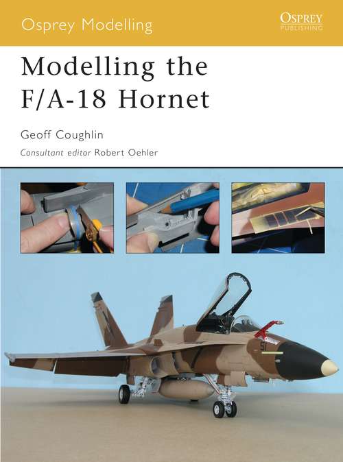 Book cover of Modelling the F/A-18 Hornet