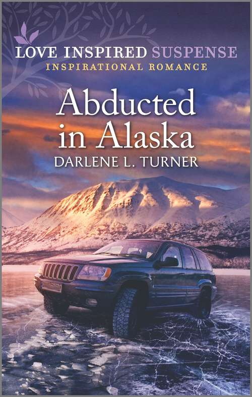 Book cover of Abducted in Alaska (Original)