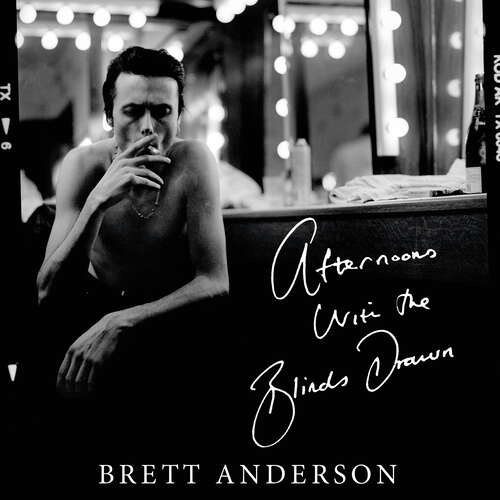 Book cover of Afternoons with the Blinds Drawn