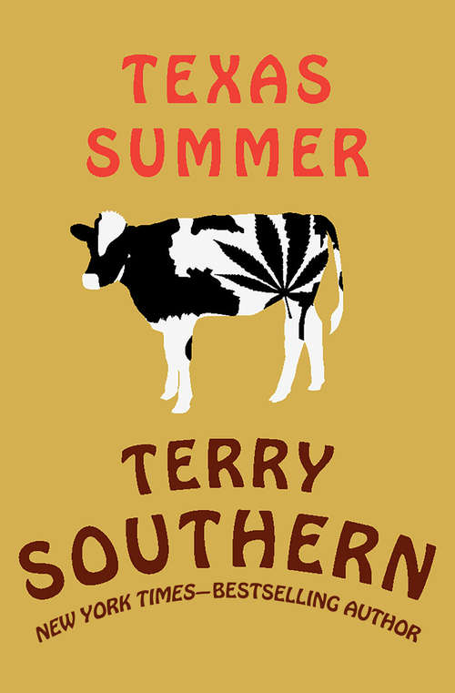 Book cover of Texas Summer: A Novel