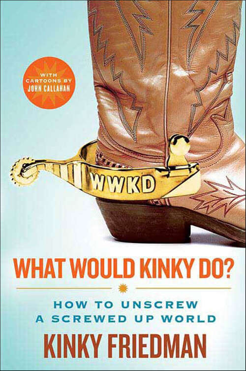 Book cover of What Would Kinky Do?: How to Unscrew a Screwed Up World