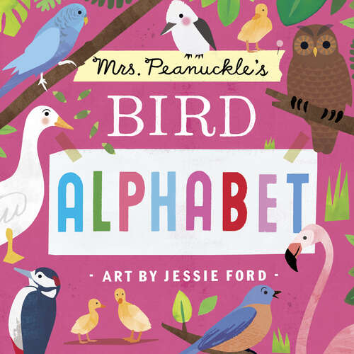 Book cover of Mrs. Peanuckle's Bird Alphabet (Mrs. Peanuckle's Alphabet #5)