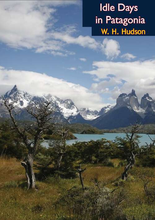 Book cover of Idle Days in Patagonia