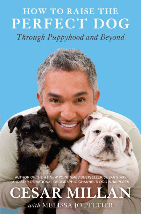 Book cover of How to Raise the Perfect Dog: Through Puppyhood and Beyond