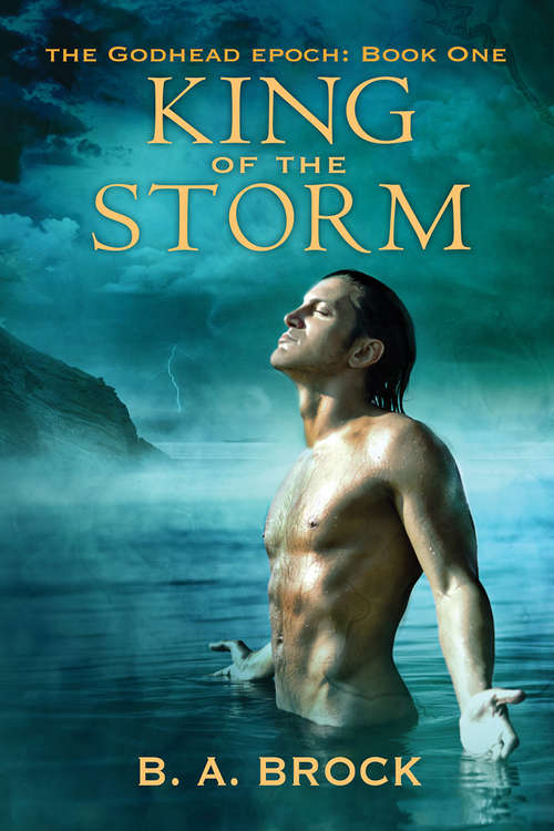 Book cover of King of the Storm (The Godhead Epoch #1)