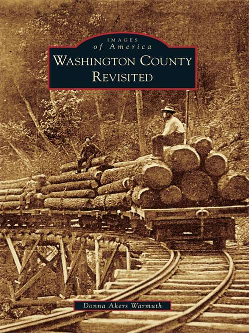 Book cover of Washington County Revisited