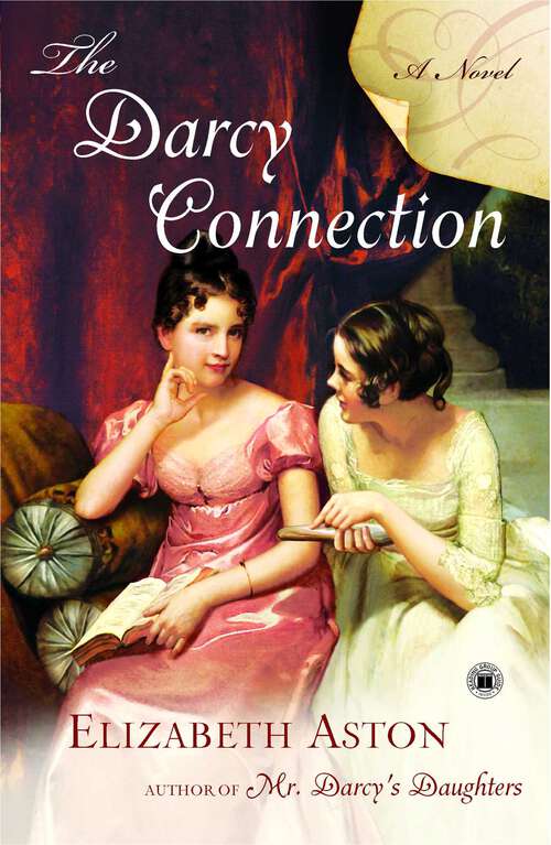 Book cover of The Darcy Connection: A Novel