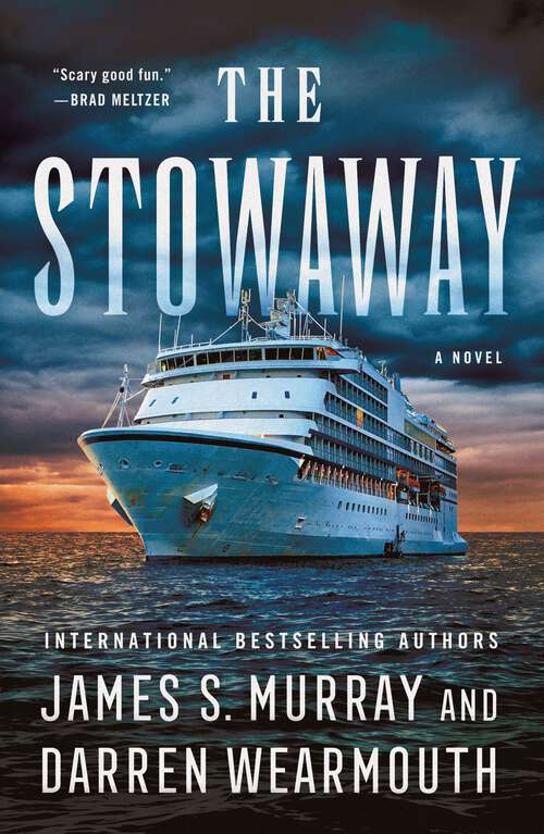 Book cover of The Stowaway: A Novel