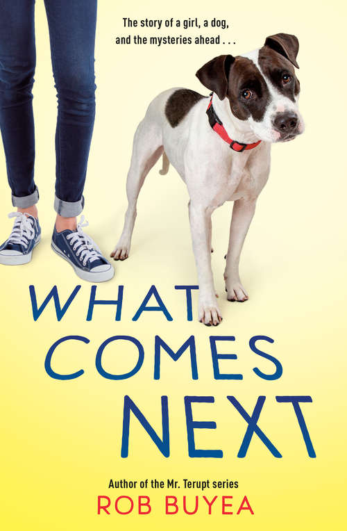 Book cover of What Comes Next