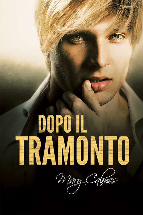 Book cover of Dopo il tramonto (Tempo al tempo #2)