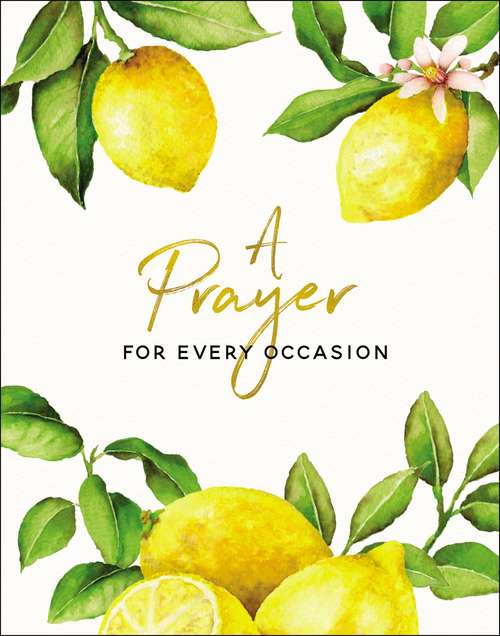 Book cover of A Prayer for Every Occasion