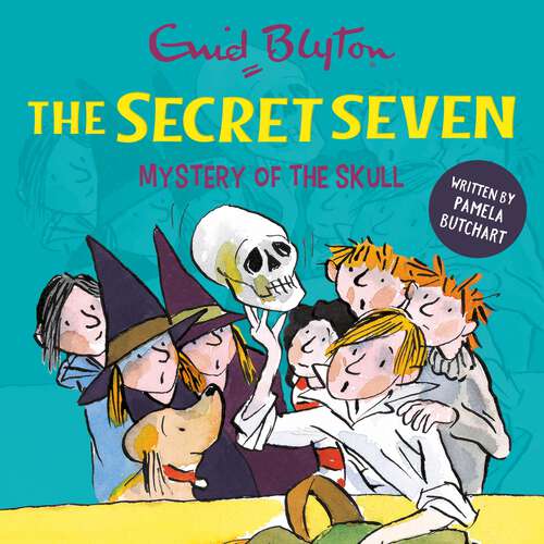 Book cover of Mystery of the Skull (Secret Seven #16)