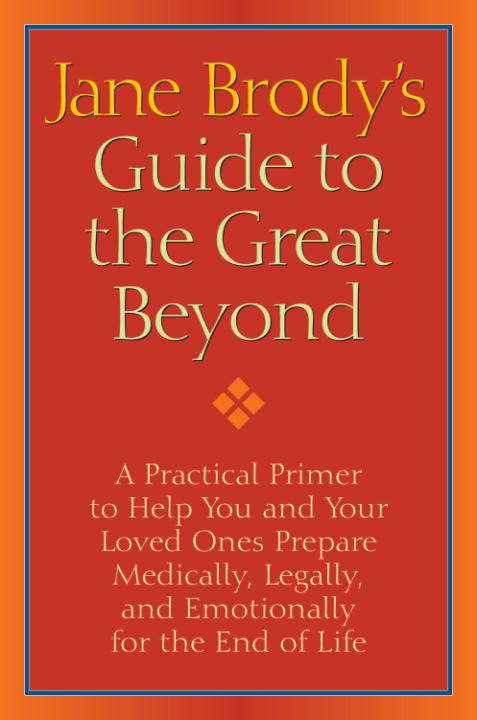 Book cover of GUIDE to the GREAT BEYOND