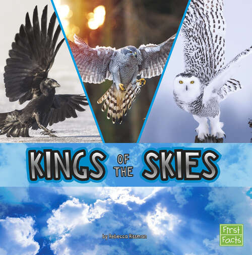Book cover of Kings of the Skies (Animal Rulers Ser.)