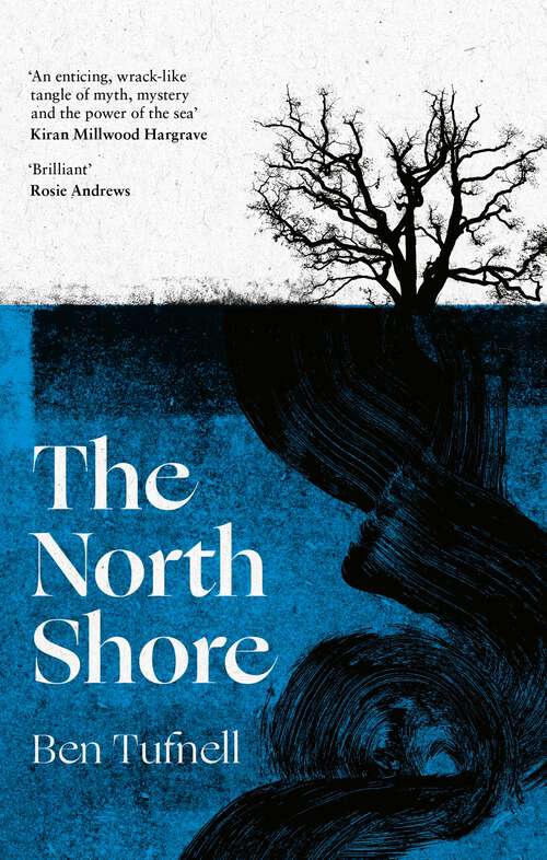 Book cover of The North Shore: a stunning gothic debut